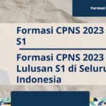 Formasi CPNS 2023 Lulusan S1