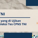 CPNS TNI